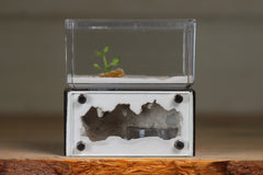 Mini Hearth (Black 8053)