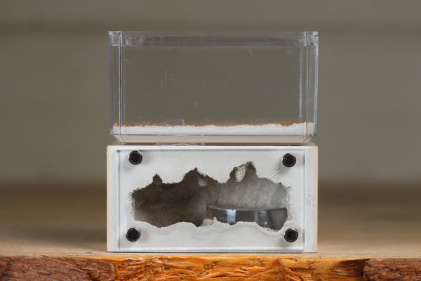 Mini Hearth (Bone 8056)