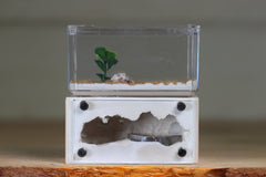 Mini Hearth (Bone 8060)