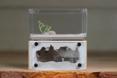 Mini Hearth (Beige 8066)