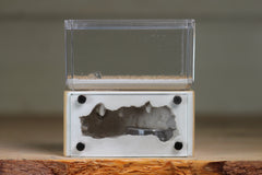 Mini Hearth (Beige 8067)