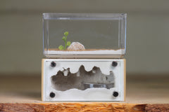 Mini Hearth (Beige 8069)