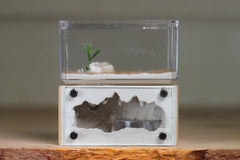Mini Hearth (Beige 8070)