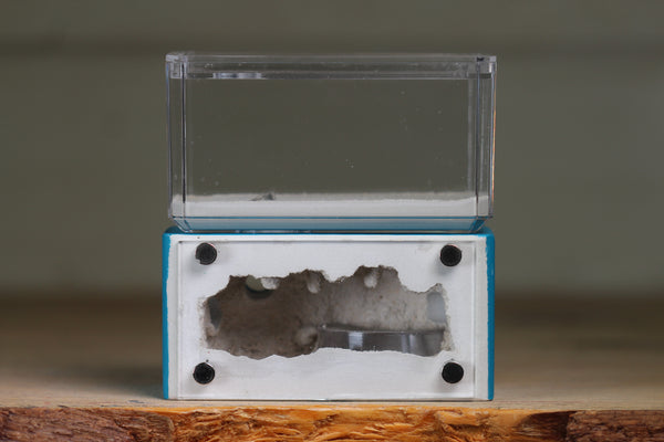 Mini Hearth (Aqua Blue 8072)
