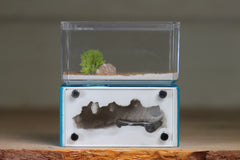Mini Hearth (Aqua Blue 8073)