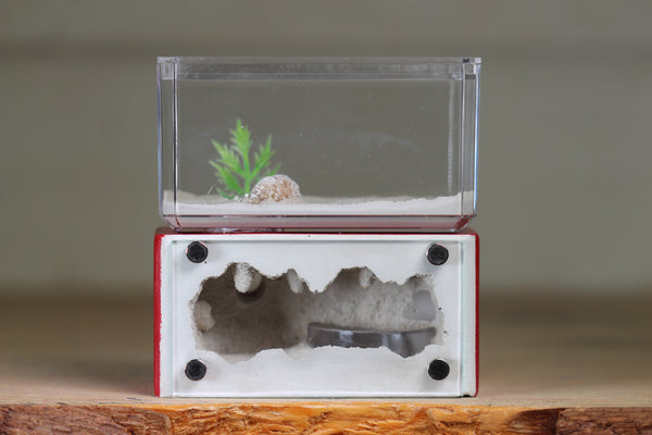 Mini Hearth (Red 8074)