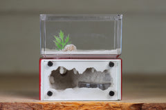 Mini Hearth (Red 8074)