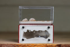 Mini Hearth (Red 8076)