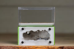 Mini Hearth (Lime 8077)