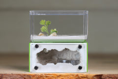 Mini Hearth (Lime 8078)