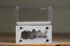 Mini Hearth (Bone 8105)