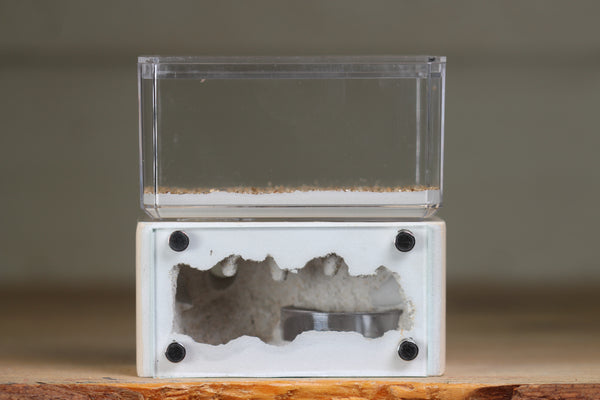 Mini Hearth (Bone 8106)