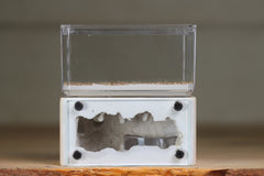 Mini Hearth (Bone 8106)