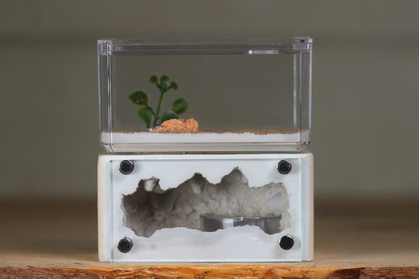 Mini Hearth (Bone 8107)