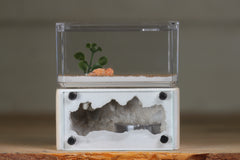 Mini Hearth (Bone 8107)