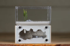 Mini Hearth (Bone 8108)