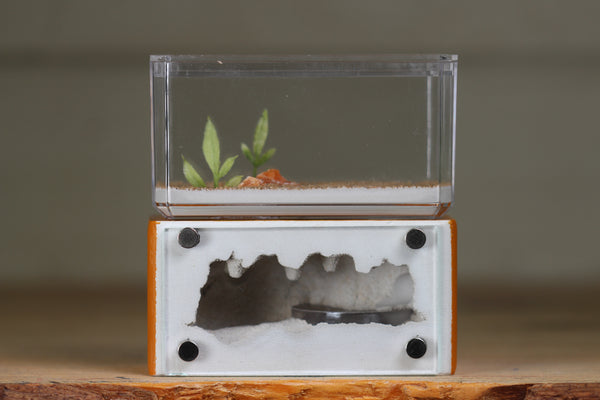 Mini Hearth (Terra 8114)