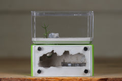 Mini Hearth (Lime 8116)