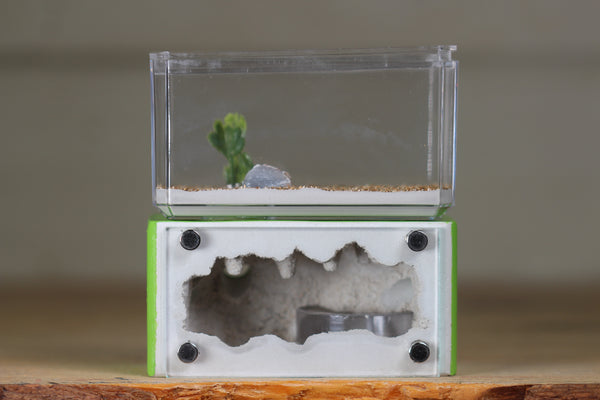 Mini Hearth (Lime 8117)
