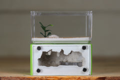 Mini Hearth (Lime 8118)