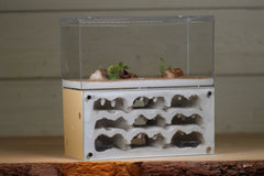 Nucleus Type III (Beige 2060)