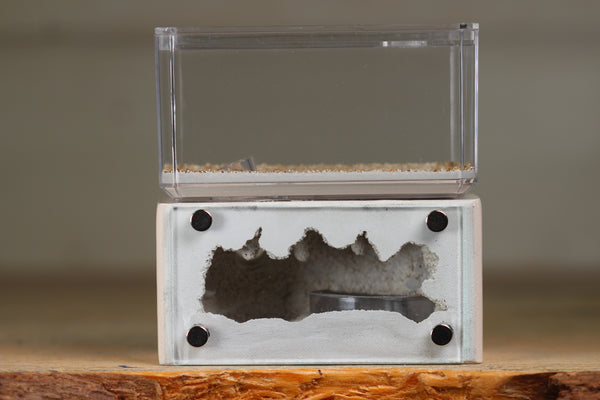 Mini Hearth (Bone 1510)