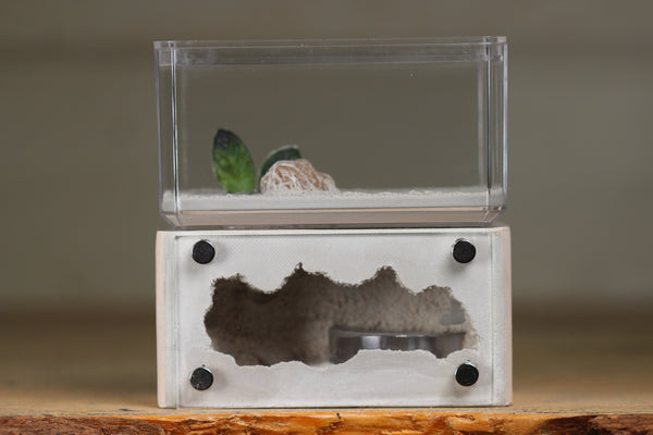 Mini Hearth (Bone 1511)