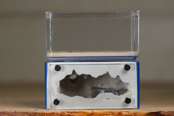 Mini Hearth (Dark Blue 1513)