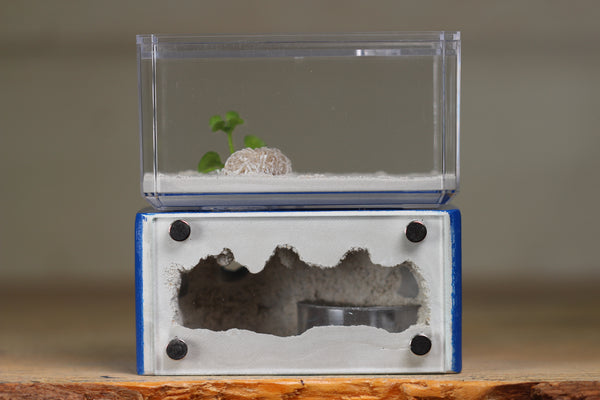 Mini Hearth (Dark Blue 1514)