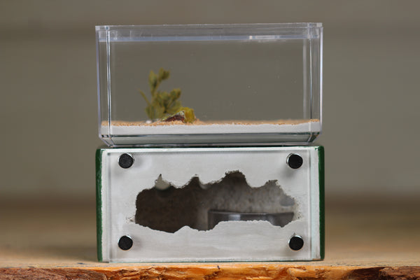 Mini Hearth (Dark Green 1517)