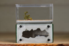 Mini Hearth (Dark Green 1517)