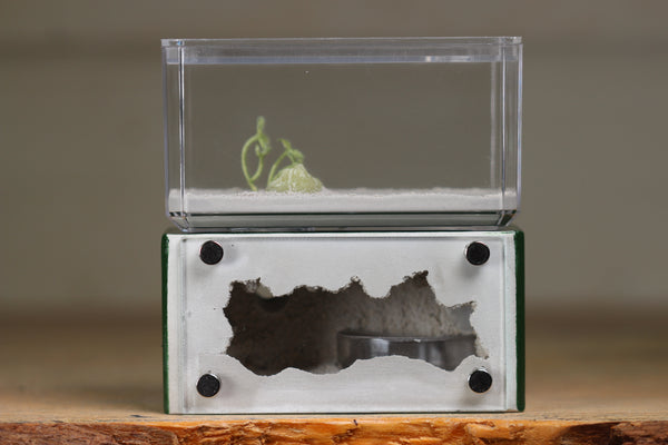 Mini Hearth (Dark Green 1518)