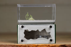 Mini Hearth (Dark Green 1518)
