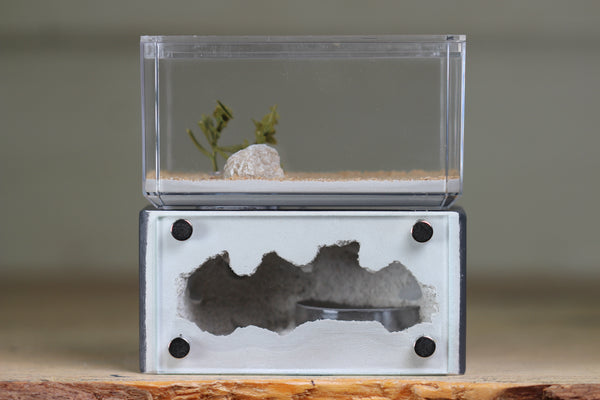 Mini Hearth (Grey 1534)
