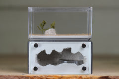 Mini Hearth (Grey 1534)