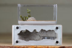 Mini Hearth XL (Bone 4080)