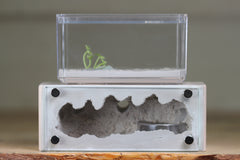 Mini Hearth XL (Bone 4083)