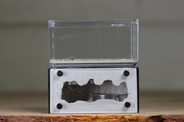 Mini Hearth (Black 1550)