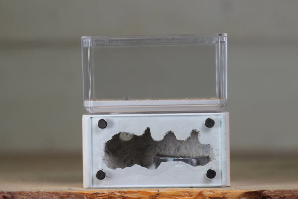 Mini Hearth (Bone 1553)