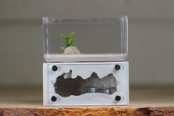 Mini Hearth (Bone 1554)