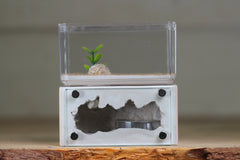 Mini Hearth (Bone 1554)
