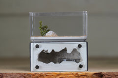 Mini Hearth (Grey 1555)