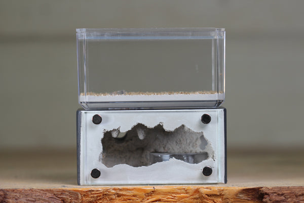 Mini Hearth (Grey 1556)