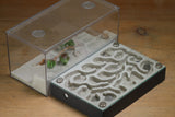 Labyrinth (Grey 3410)