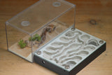 Labyrinth (Grey 3408)