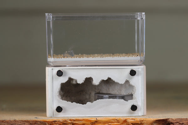Mini Hearth (Bone 1606)