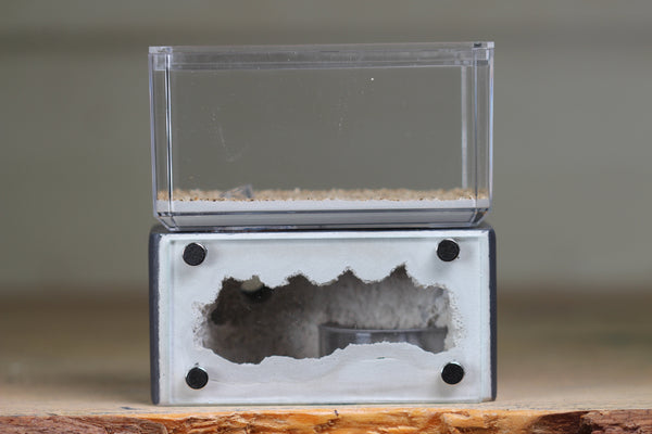 Mini Hearth (Grey 1608)