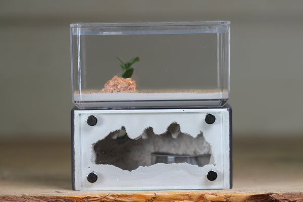 Mini Hearth (Grey 1610)