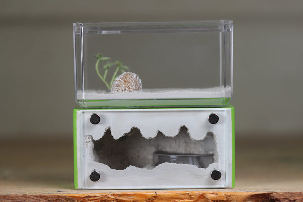 Mini Hearth (Lime 1616)
