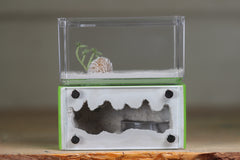 Mini Hearth (Lime 1616)
